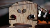 luthier tarragona